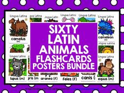 PRIMARY LATIN ANIMALS FLASHCARDS