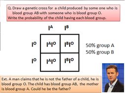 Ocr A Level Biology 6 1 2 Patterns Of Inheritance 13 14 Lessons Ocr A Level Biology 6 1 2 Patterns Of Inheritance 13 14 Lessons