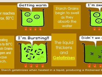 Year 9 Lesson- Gelatinisation