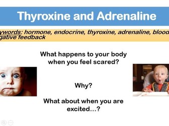 New AQA Biology hormones thyroxine, adrenaline and negative feedback