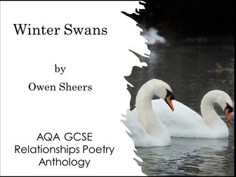 Winter Swans by Owen Sheers