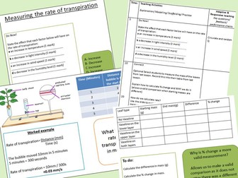 Factors affecting transpiration practical lesson pack OCR B2.2/AQA 4.3.2