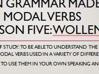 German modal verbs. Complete short lessons. Wollen - to want to