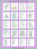 Animals Worksheet and Exam Bundle