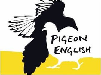Pigeon English revision pack