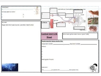AQA homeostasis and response revision crib sheet foundation