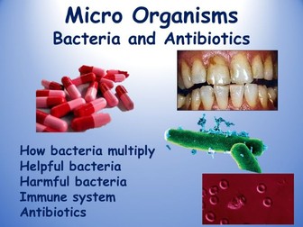 Micro organisms - 3. Bacteria & Antibiotics (PowerPoint, Worksheets and Videos)