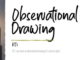 Observational Drawing