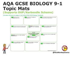 B12 Homeostasis in Action Mat | Teaching Resources
