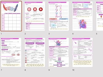 A Level PE - Cardiovascular System Worksheet and Answers