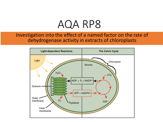 AQA GCE RP8 with associated practical concept questions