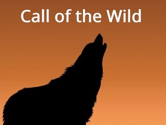The Call of the Wild Comprehension Quizzes