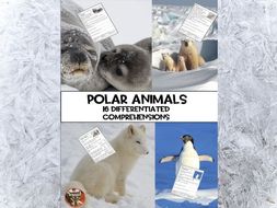Arctic Animals Comprehensions Year 1