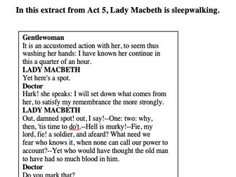 Grade 9 Macbeth Essay - Madness