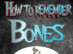 PE How to Remember Bones