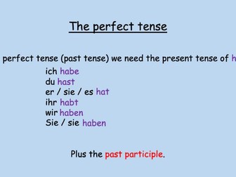 German perfect tense using 'haben'