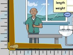 At the Vets