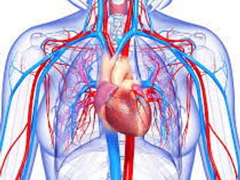 AAQ Cambridge Advanced National in Health and Social Care F091 Resource