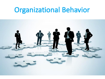 Understanding and Managing Individual Behavior (Organizational Behavior)