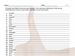 Body Parts Define The Vocabulary Worksheet