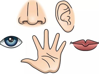 Pack Santé et les 5 sens (5 Senses & Food Description BUNDLE)