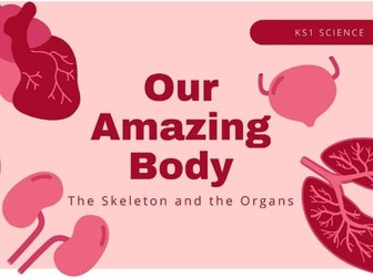 KS1 Amazing Bodies (Skeleton and Organs)