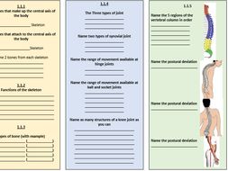 GCSE PE Revision AO1 and AO2 Pack