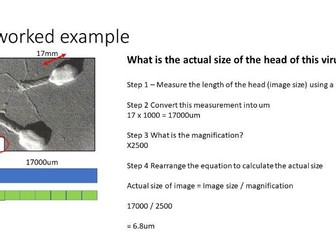 Magnification calculation using the singapore bar method