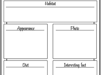 Non-Chronological Report Writing Pack (Year 3) – Rainforest Animals