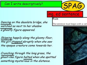 100 SPAG lessons for year 5 and 6