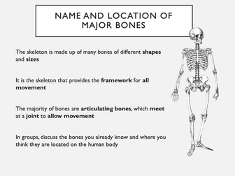 GCSE PE Structure and Function of Skeletal System Bundle