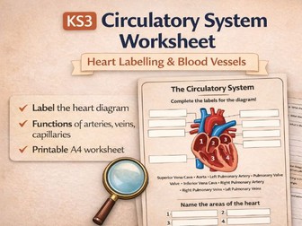 KS3 Biology Circulatory System Worksheet – Heart Diagram & Blood Vessel Functions