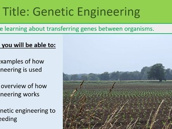 Genetic Engineering Lesson GCSE Biology