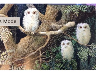 Year 1/2 - Owl babies - Week 2 (with resources)