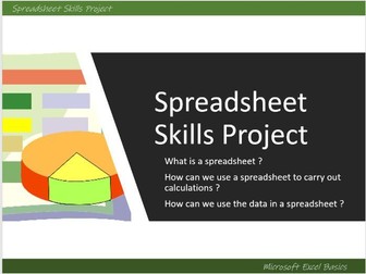 Excel Spreadsheet Skills Project Workbook