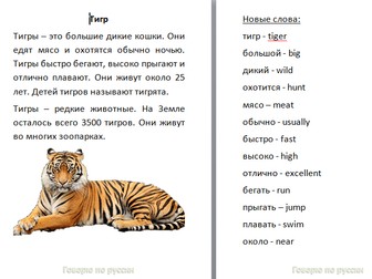 Russian Comprehension Worksheet about Tiger 8pg