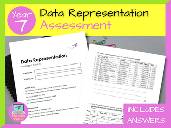 Data Representation Year 7 Assessment