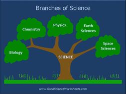 branches of science presentation