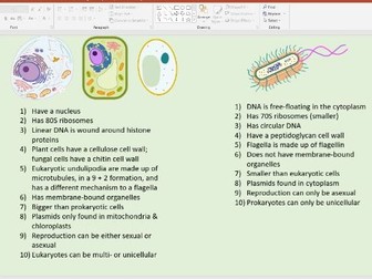 OCR A Level Module 2 flashcards