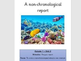 Talk For Writing - Sea Creatures Non-Chron Report Year 2