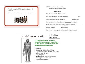 CB4a/SB4a Evidence for human evolution Edexcel lesson