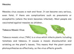 Communicable Disease with Worksheet GCSE Biology (AQA) | Teaching Resources