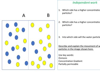 AQA GCSE Combined Science - Osmosis