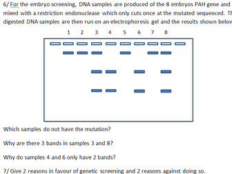 Genetic Screening with questions