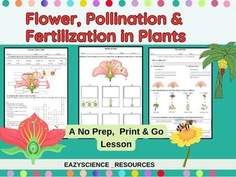 Pollination and Fertilization in Plants