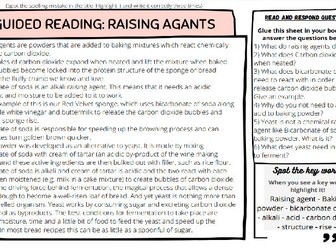 Guided Reading: Raising Agents