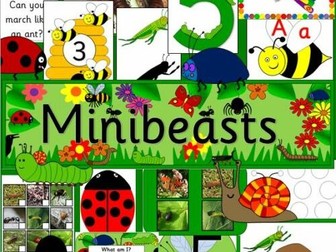 EYFS minibeasts pack- beasts, bugs and insects- mini beasts