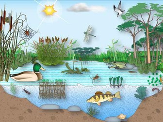 7D Ecosystems (Exploring Science)