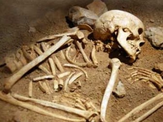 8 Using Radioisotopes