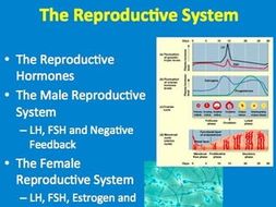 The Reproductive System - A Senior Biology Lesson Package